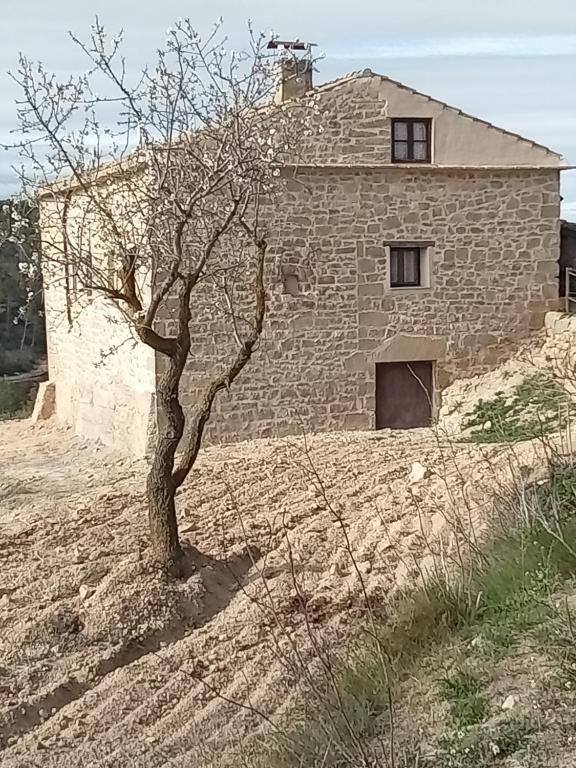 Vista de fasana de mas Juanàs